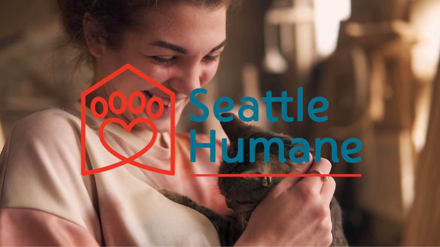 Seattle Humane - Adopt A Cat